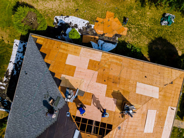 Best Roof Repair Services  in Seabrook, TX