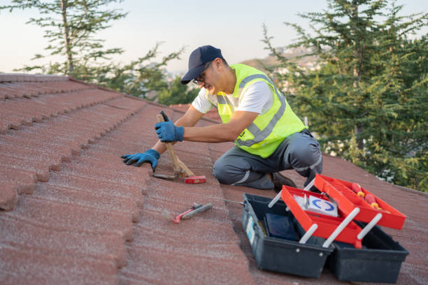 Best Metal Roofing Contractor  in Seabrook, TX